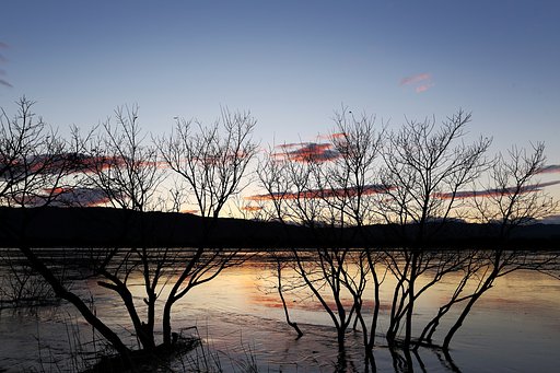 夕暮れ