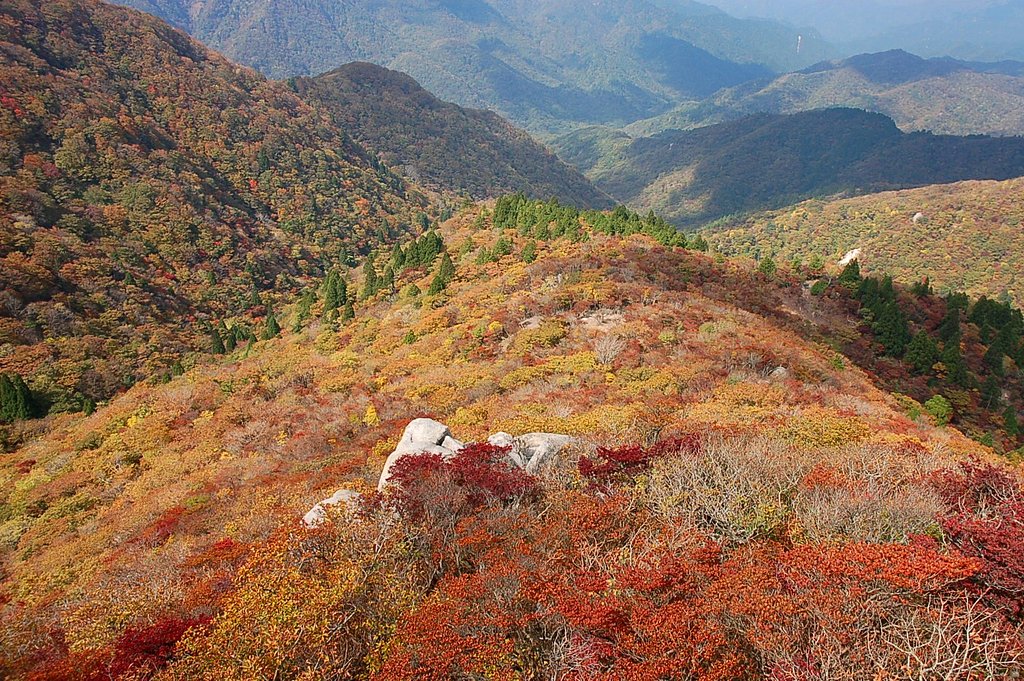 御在所岳紅葉シーズン始まる
