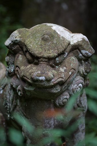 武闘派