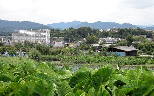 農道風景
