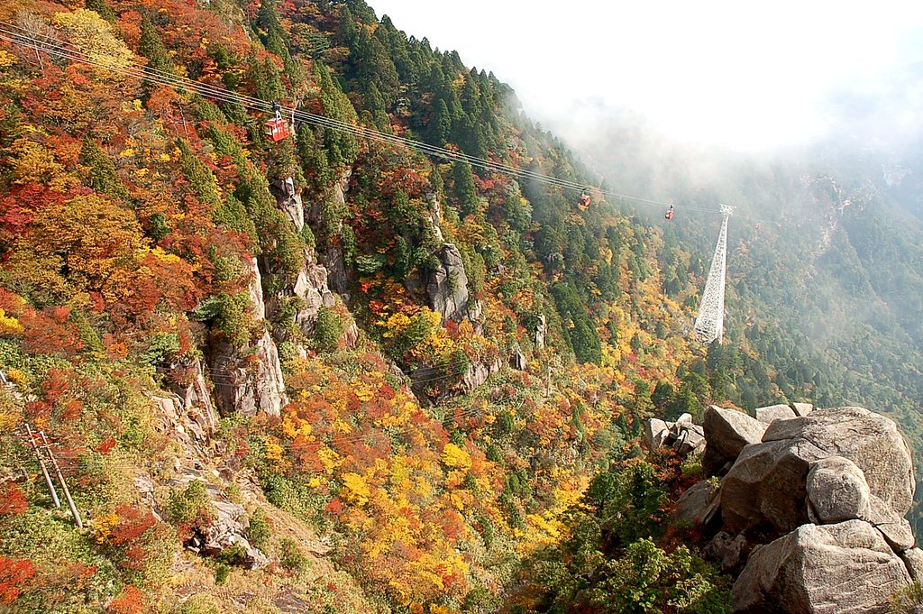 山の紅葉
