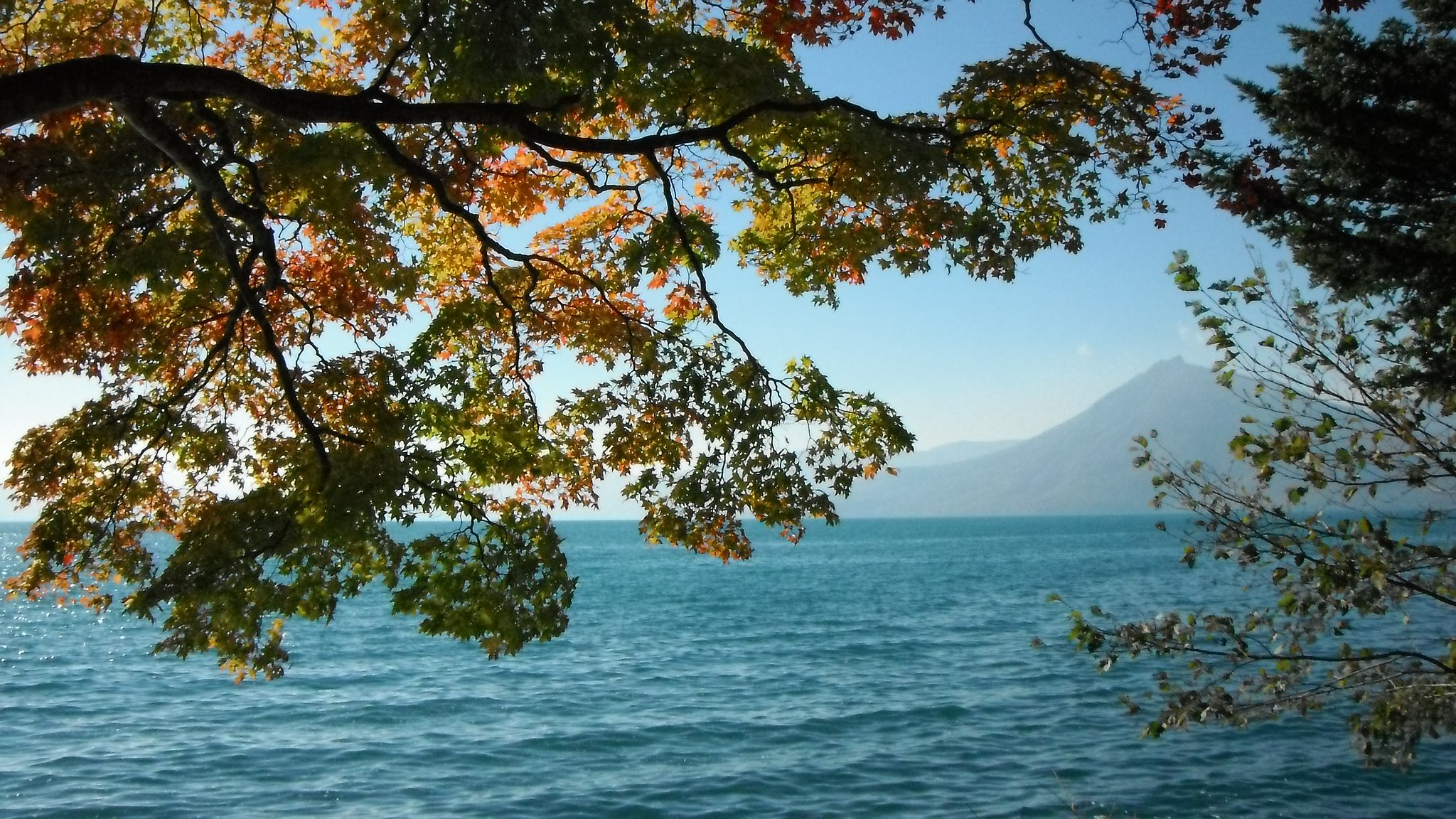 紅葉＆湖