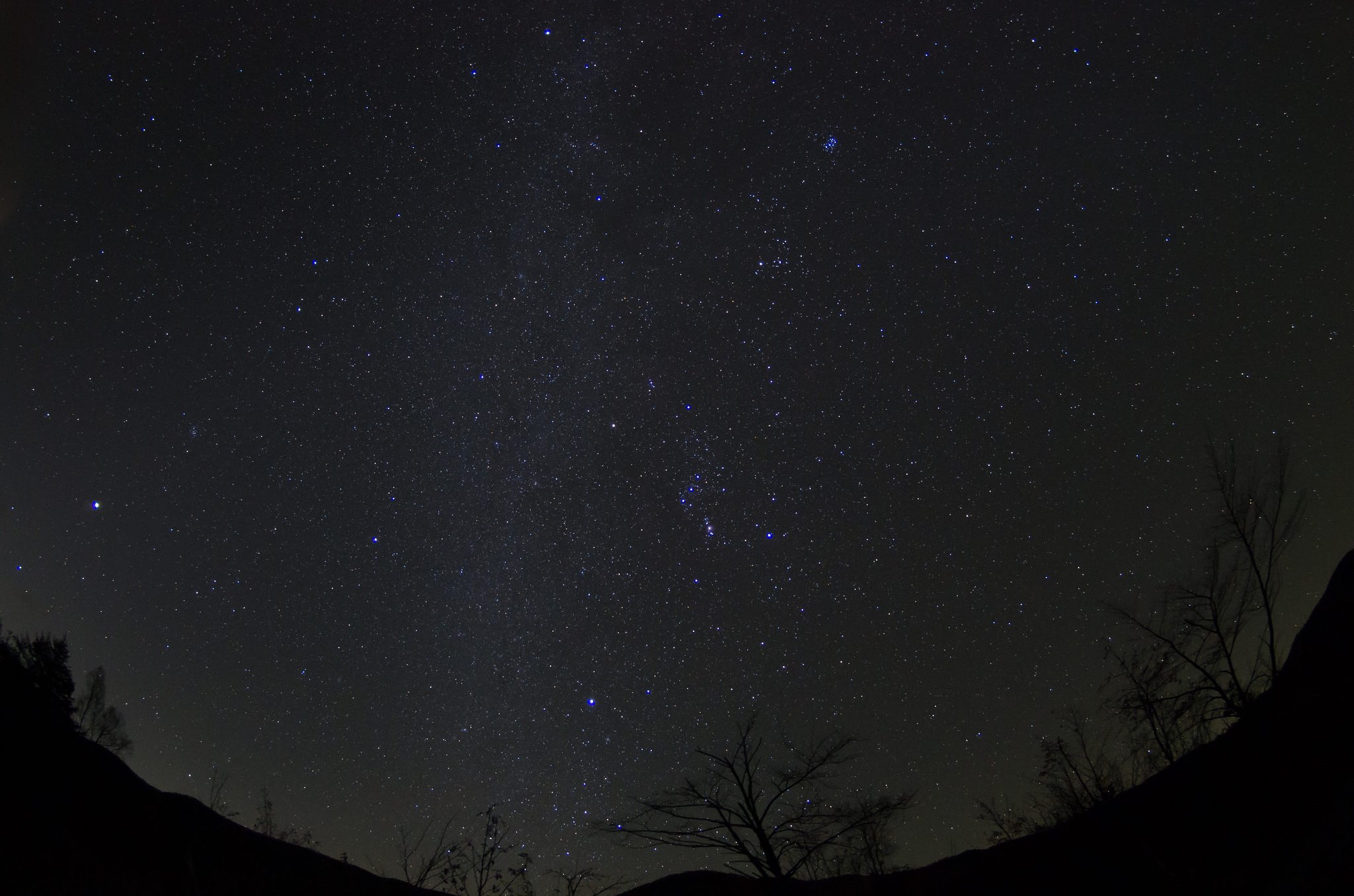 冬の星空