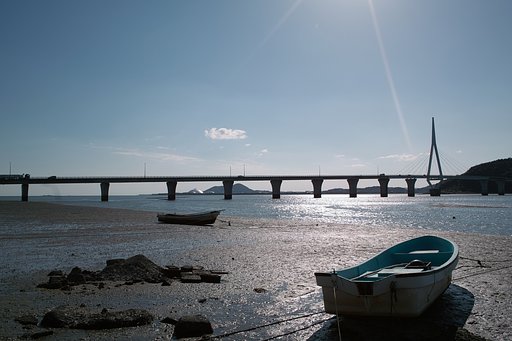 海