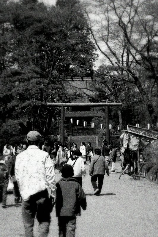 桜祭り