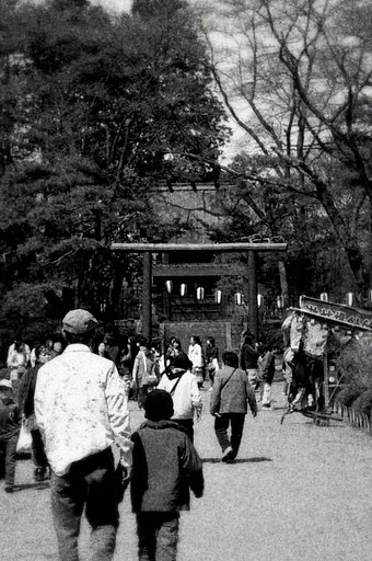 桜祭り