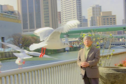 彩都ユリカモメ