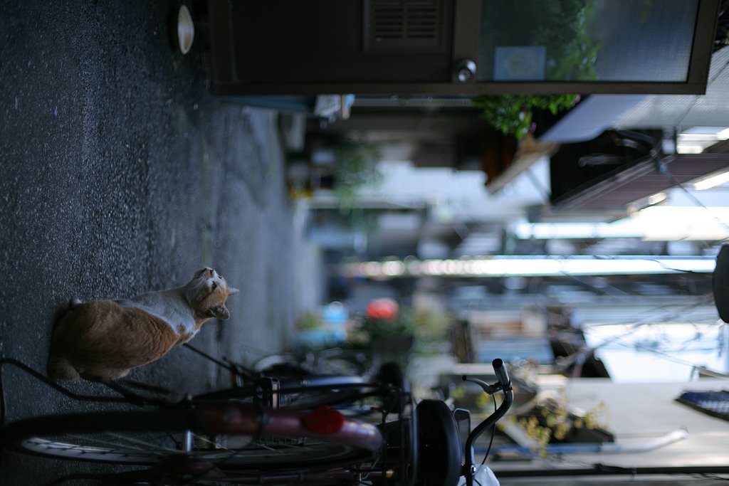 ふぅ