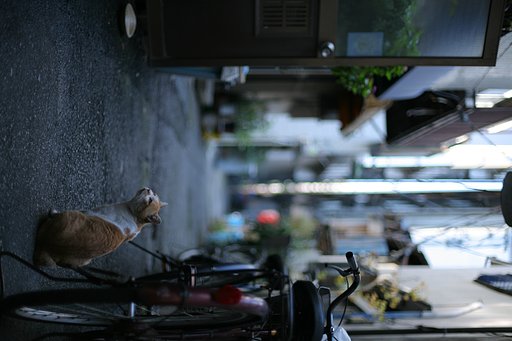 ふぅ