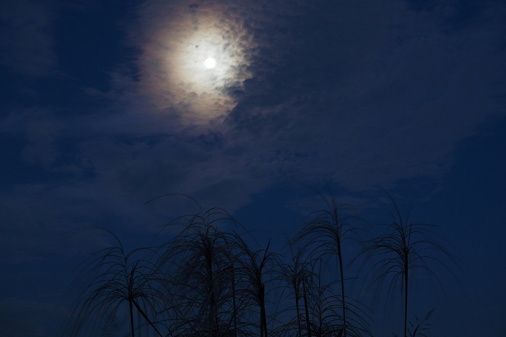 夜明けの朧月