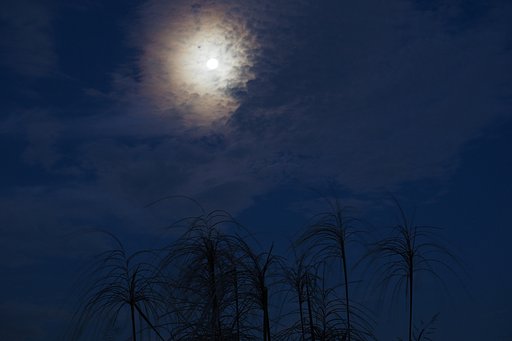 夜明けの朧月