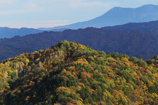 賑わしい山々