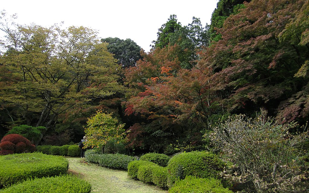 武蔵野陵