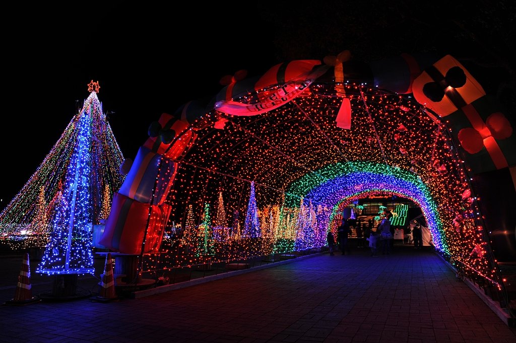クリスマス　イルミネーション　in　川南