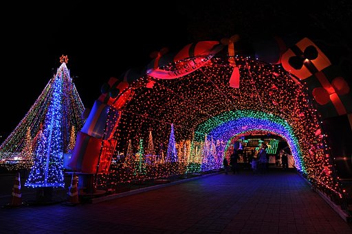 クリスマス　イルミネーション　in　川南