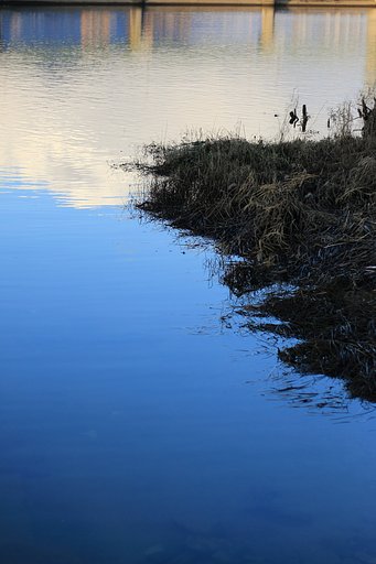 【雲】水面に映る