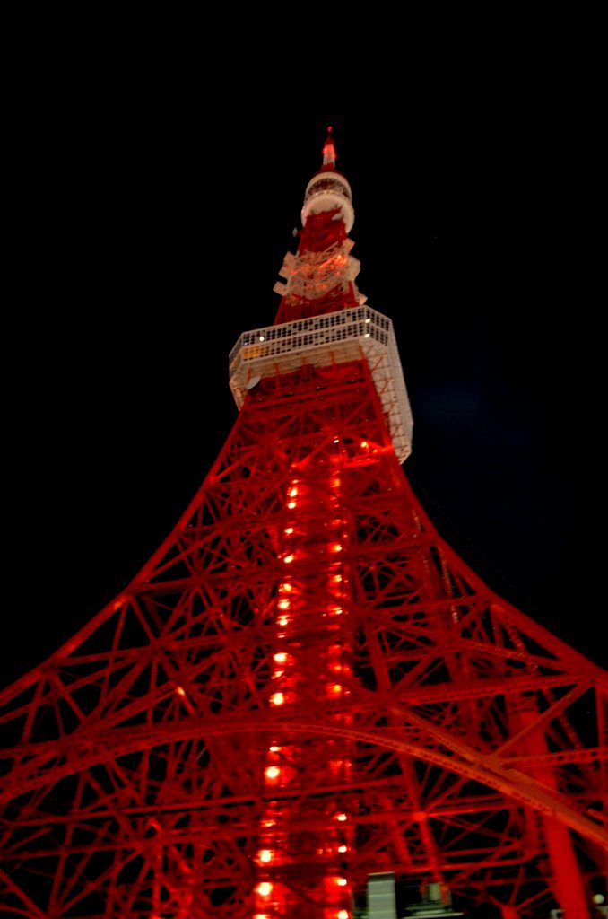 １９時３０分東京タワー消灯風景