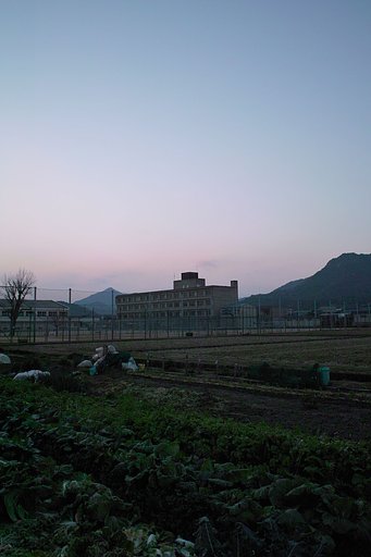 散歩の途中