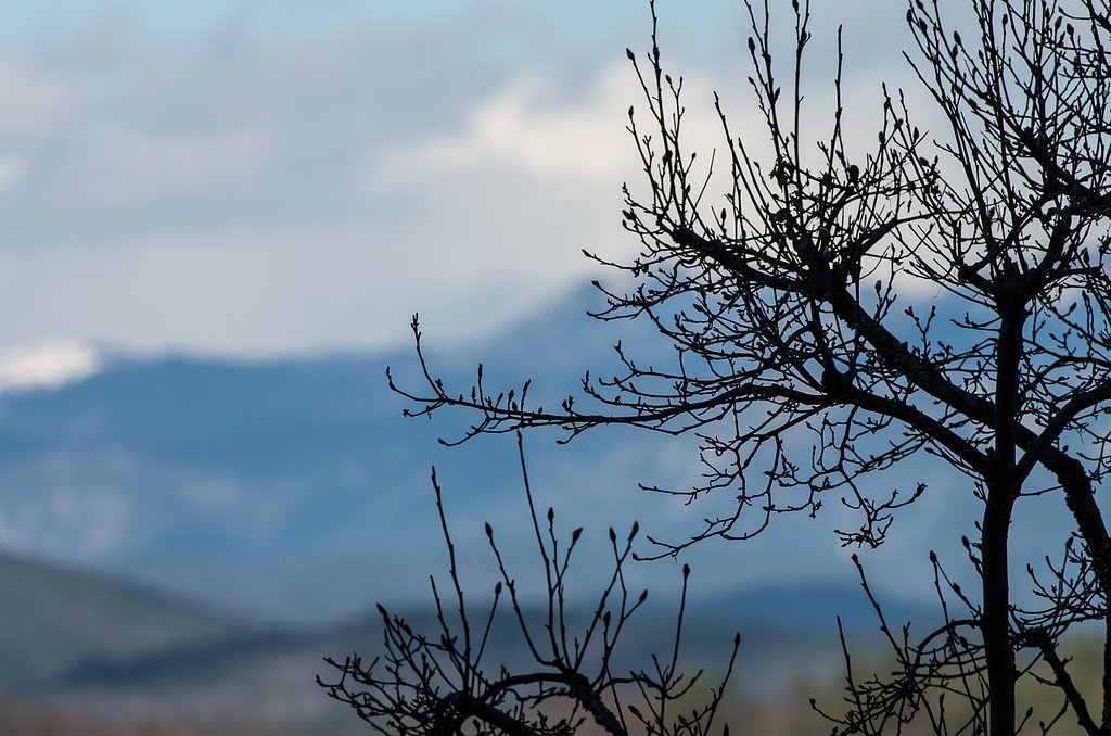 大自然の営み