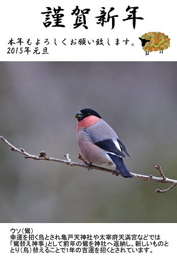 明けましておめでとうございます