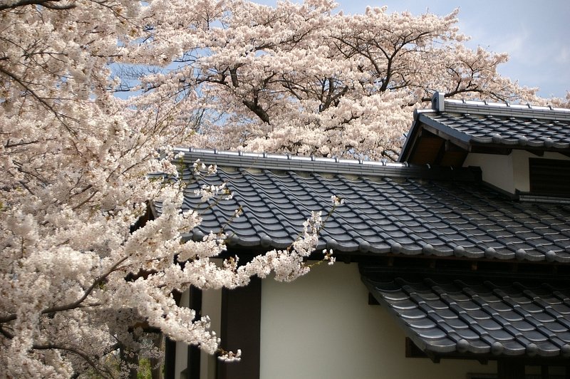 ちょいっと感じのよい建物