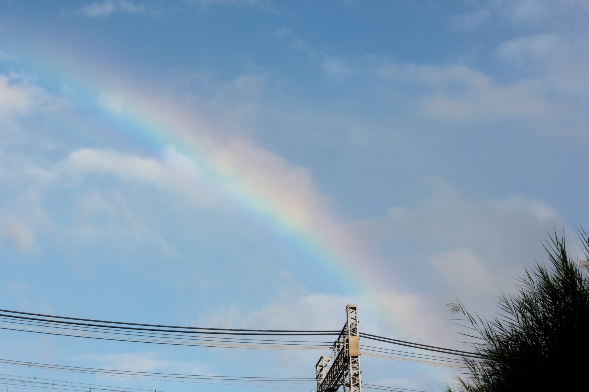 虹と架線の葦の空