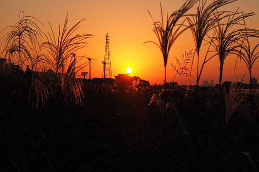 荻原の日の出