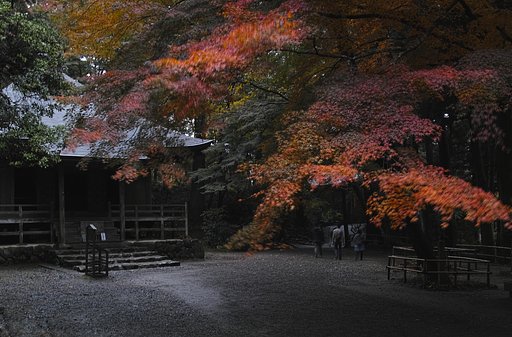 中尊寺の紅葉