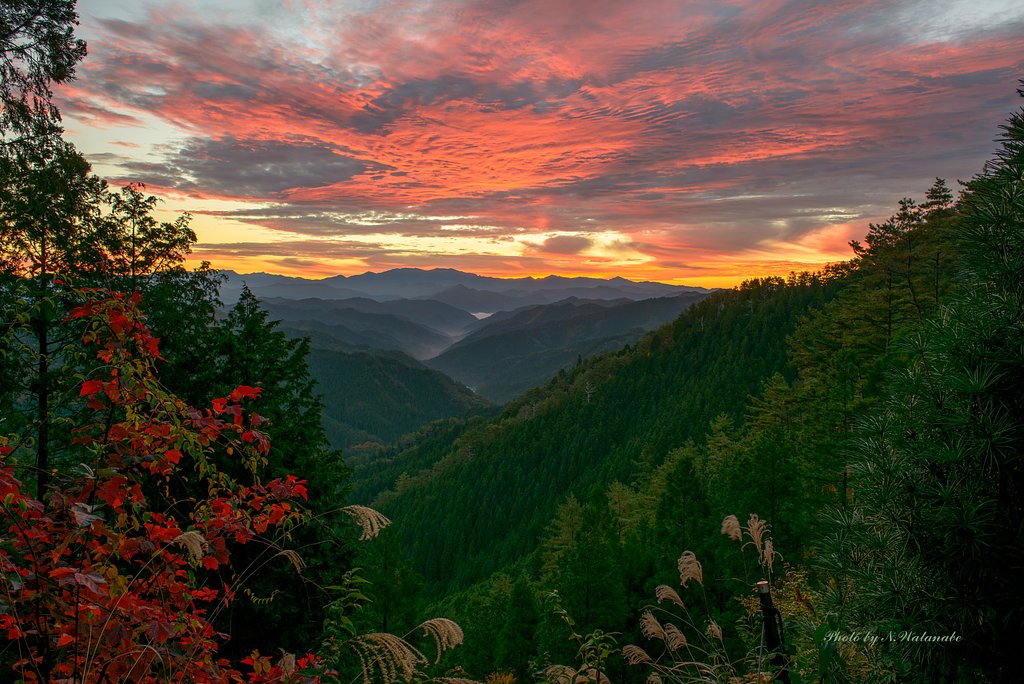 Morning glow