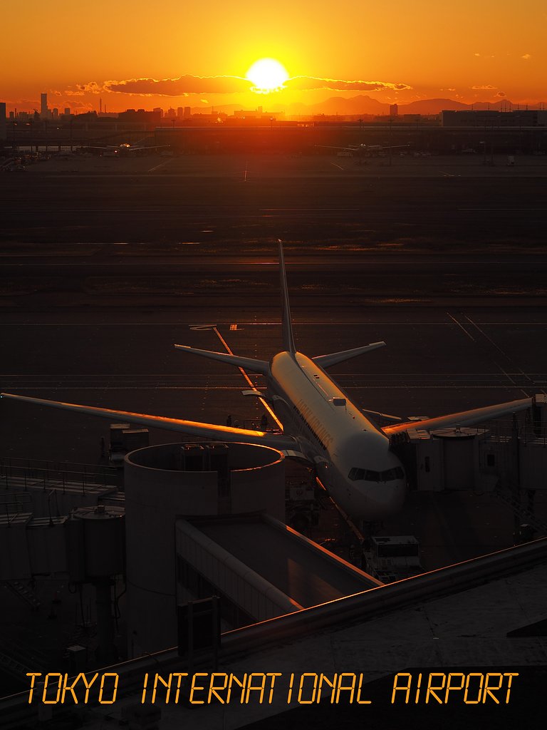 Tokyo International Airport