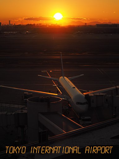 Tokyo International Airport