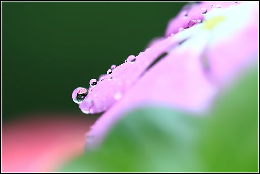 テスト