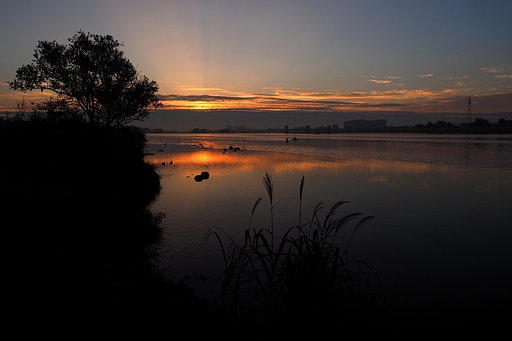光芒の夜明け
