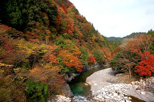 愛知川上流