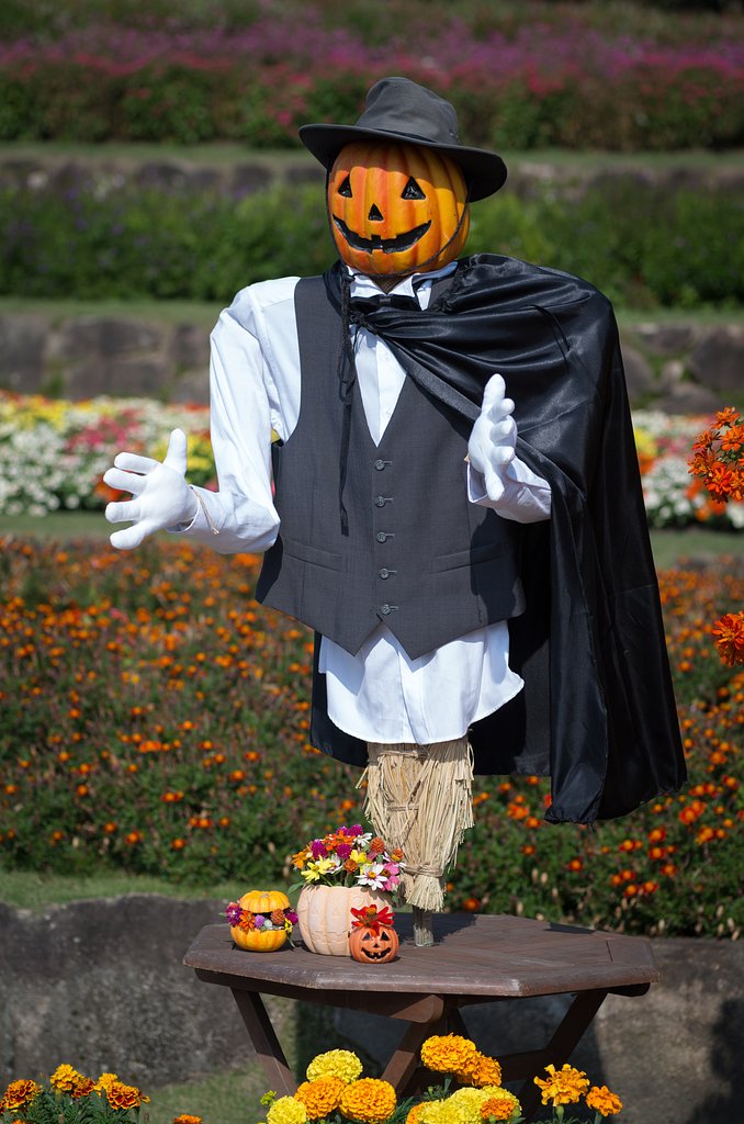 Jack O’ Lantern