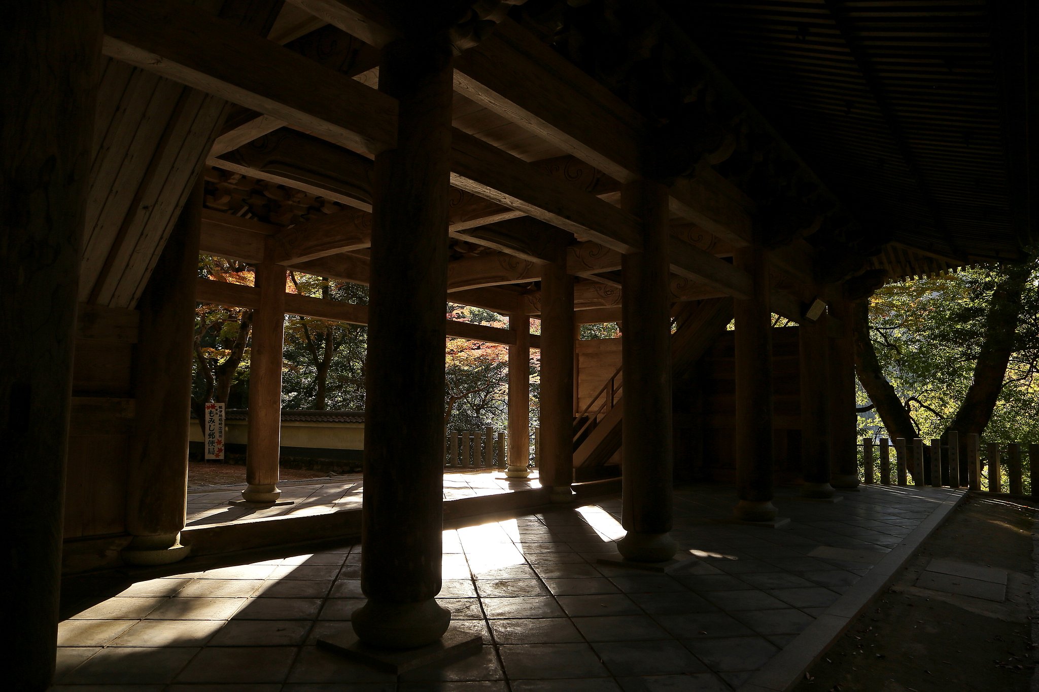 朝の光と影