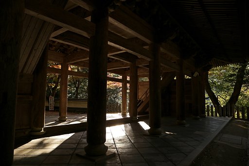 朝の光と影