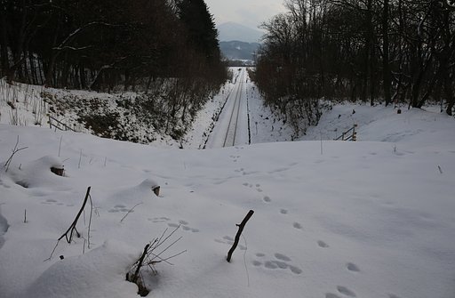 森閑