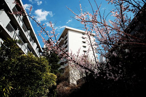 3月20日の写真