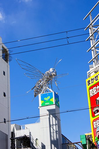 日本橋の空