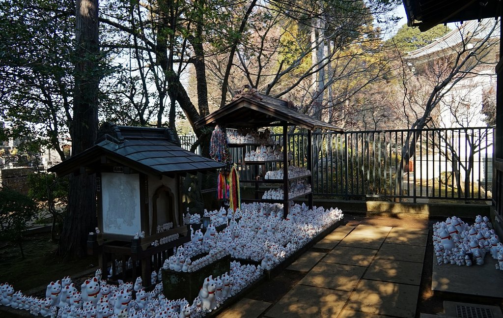 豪徳寺の招き猫