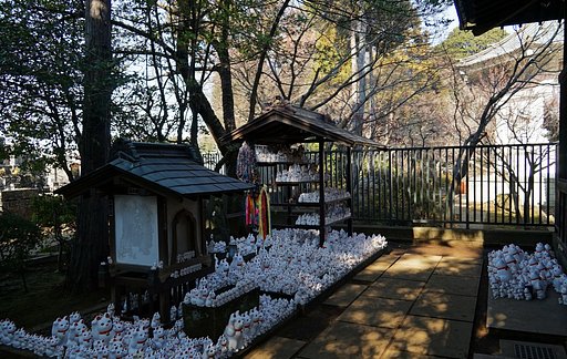 豪徳寺の招き猫