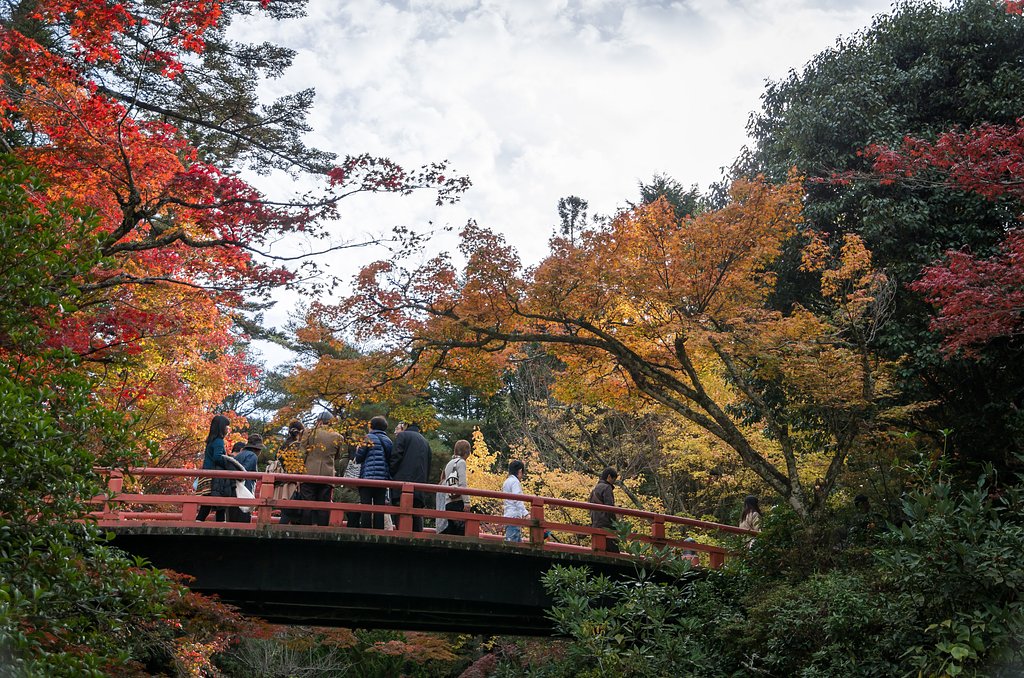 紅葉谷