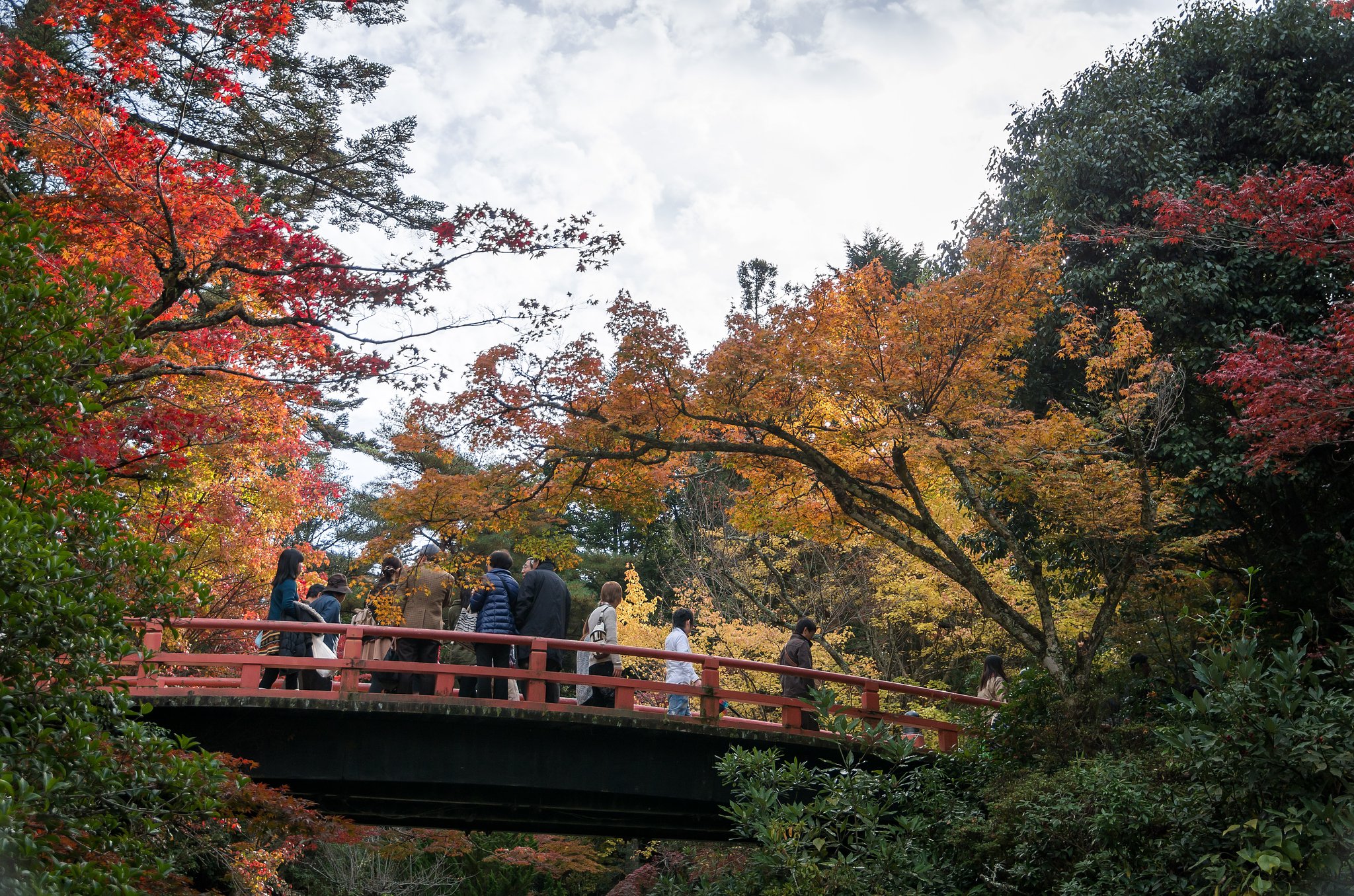紅葉谷