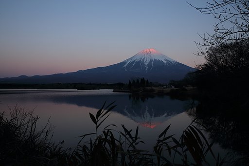 ごあいさつ