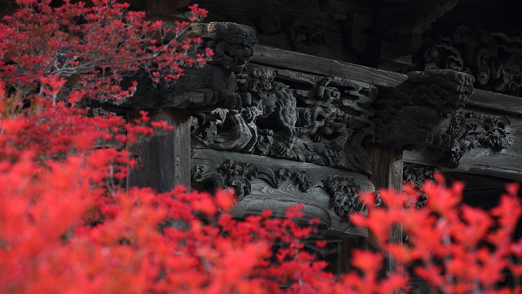 真紅の門