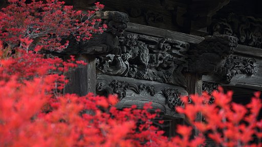 真紅の門