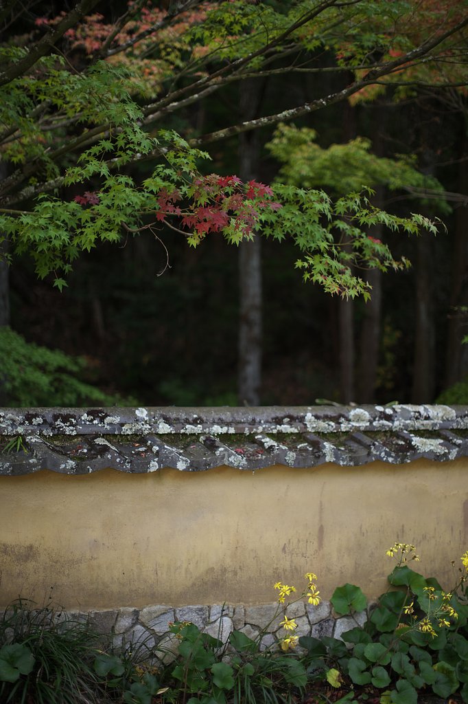 土塀の寂
