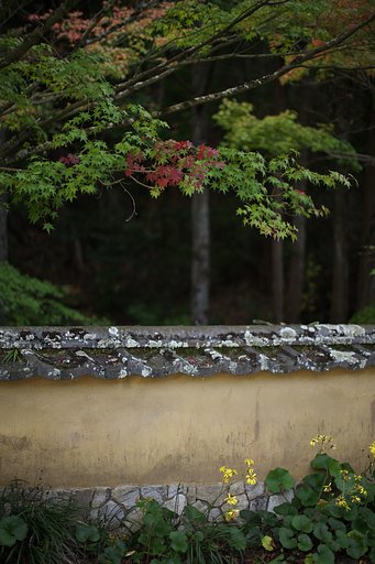 土塀の寂