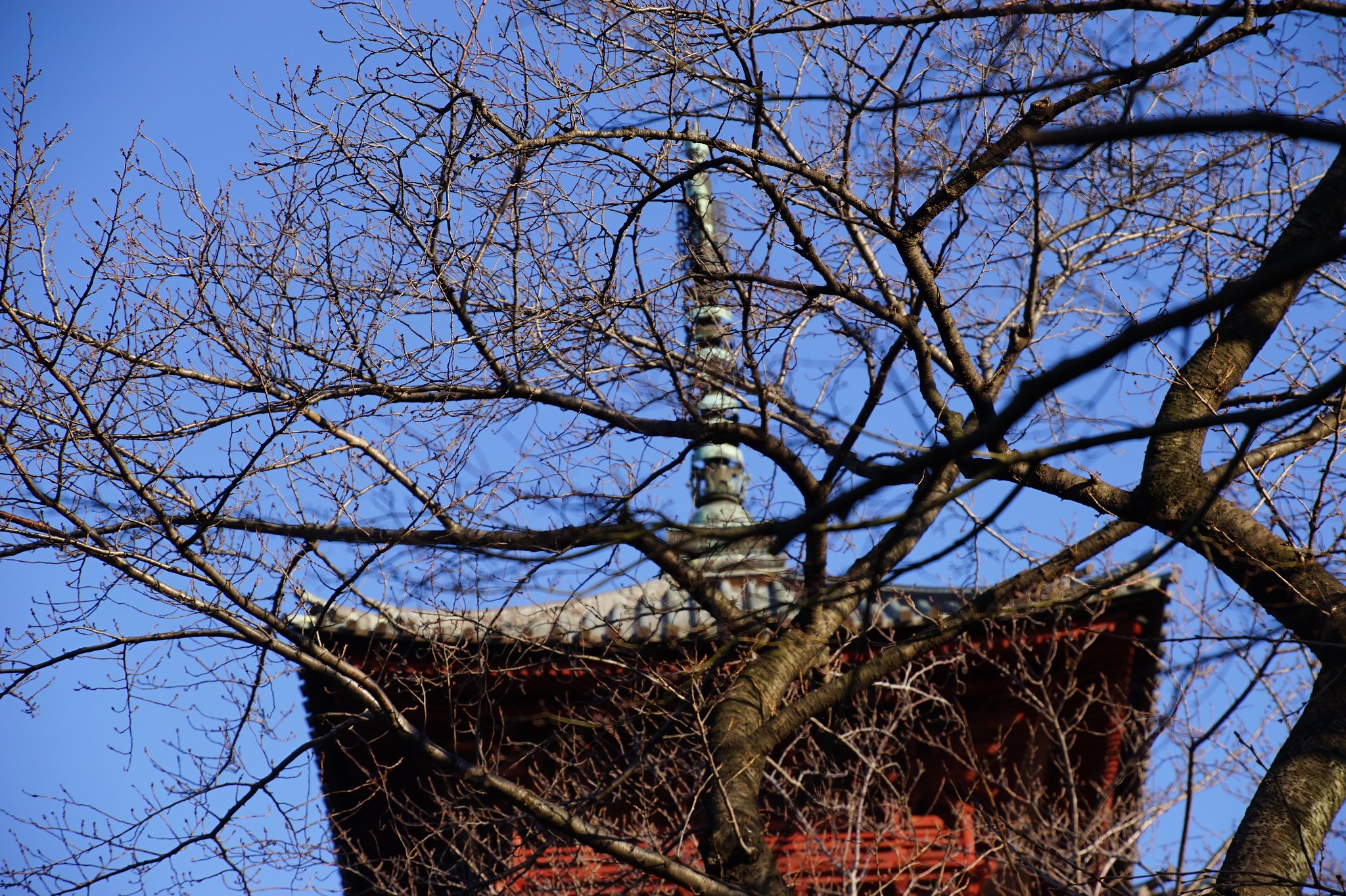 五重塔